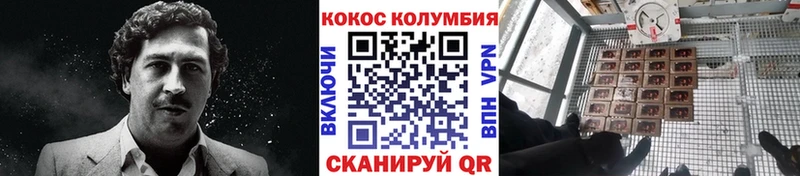 Cocaine Fish Scale Шумиха