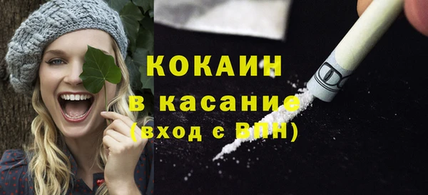 ГАЛЛЮЦИНОГЕННЫЕ ГРИБЫ Сясьстрой