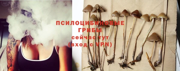 альфа пвп Заволжск