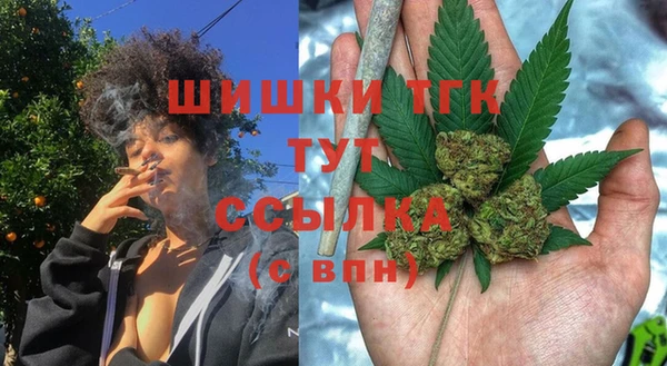 стафф Заводоуковск