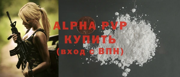 стафф Заводоуковск