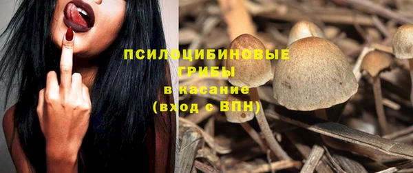 стафф Заводоуковск