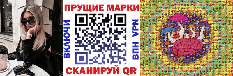 купить наркотик  дарк нет официальный сайт  МЕГА tor  Марки NBOMe 1500мкг  Шумиха 