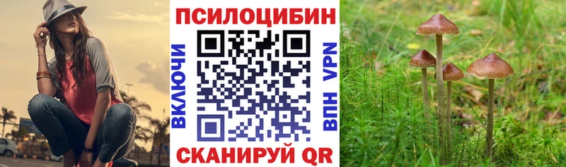 продажа наркотиков  Шумиха  Галлюциногенные грибы MAGIC MUSHROOMS 